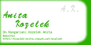 anita kozelek business card